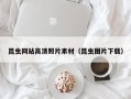 大理昆虫网站高清照片素材（昆虫图片下载）